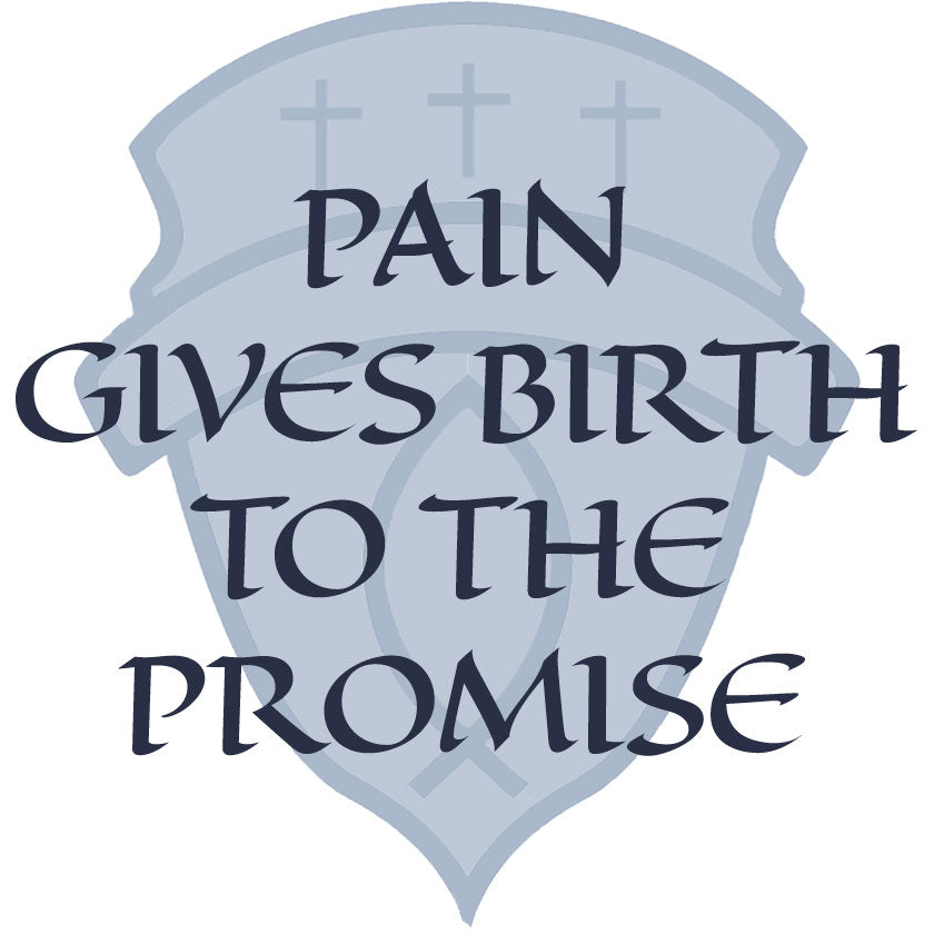 Pain Gives Birth To The Promise